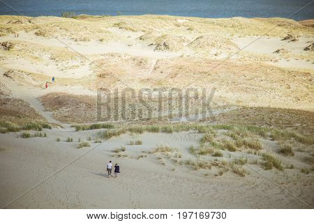 A beautiful sand dunes in a Neringa National park. Travel photo