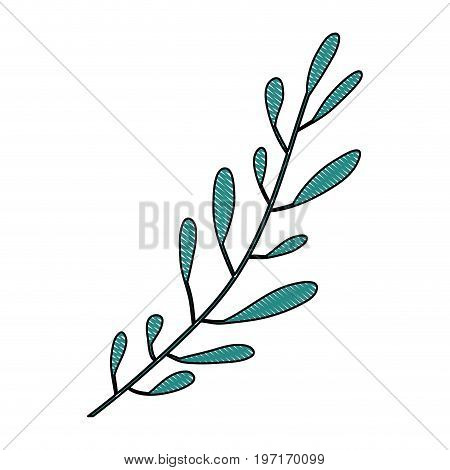 crayon silhouette of hand drawing green color leaf oval shape with several ramifications vector illustration