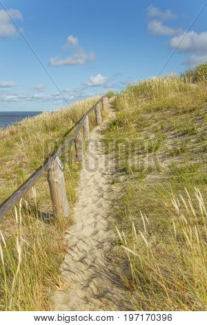 A beautiful sand dunes in a Neringa National park. Travel photo