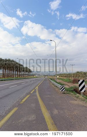 The road from Qasr al-Yahud to Jerusalem. Planting of palm trees.