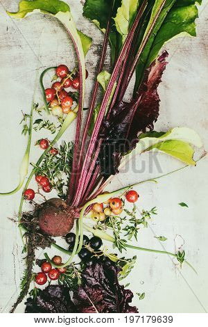 Variety of raw organic young vegetables beetroot with haulm, garlic, leaf salad, red currant over gray texture background. Top view