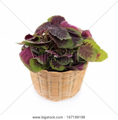 Closeup red spinach isolated on white background