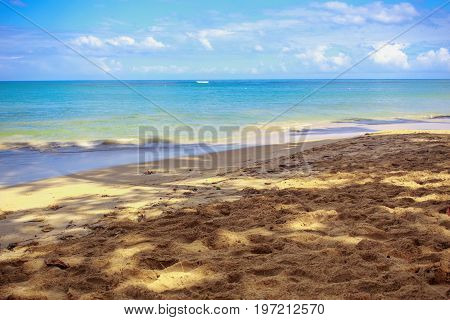 Paradise on Earth. Caribbean empty sandy beach.