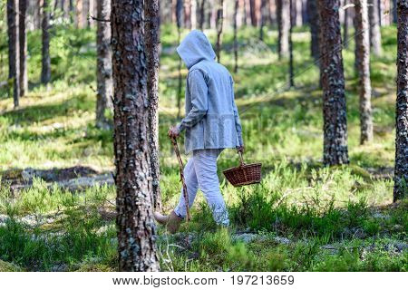 Young Woman Enjoying Nature In Forest