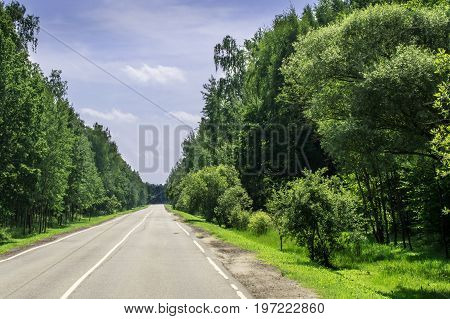 asphalt road in the woods leading into the distance