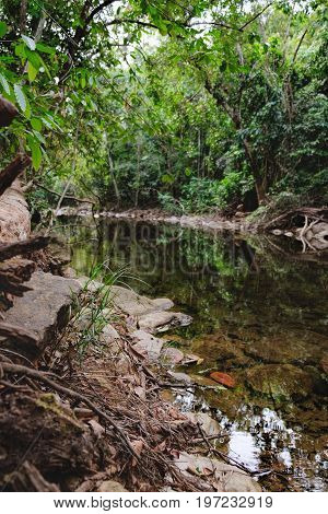Small mountain stream in the shade of the tropical forest Mu Koh Chang National Park, Thailand. View from the trail to the Khlong Phlu waterfall. Natural background. Selective focus