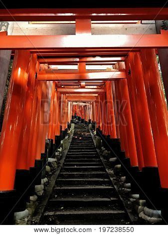 Many Japanese Tori gates lined up in a row at Fushimi Inari in Kyoto Japan. A place with thousands of Tori gates lined up over a path with steps that lead to top of a mountain.