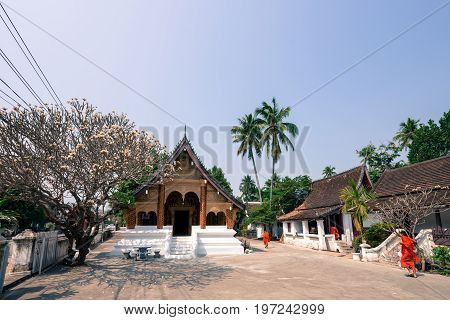 LUANG PRABANG LAOS - MARCH 11 2017: Monks walking in a village close to Wat Xieng Thong located in the city Luang Prabang Laos