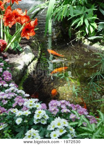Poisson dans l'eau