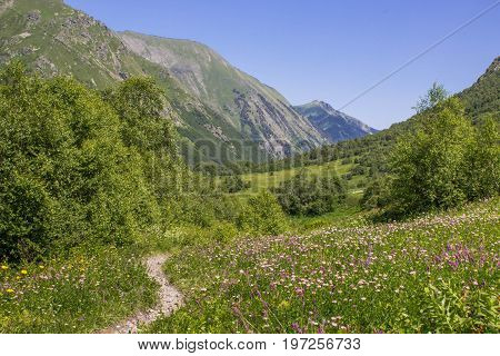 A path in the mountains of the Caucasian range, Krasnaya Polyana, Sochi, Russia