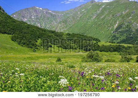 Mountains of the Caucasian range, Krasnaya Polyana, Sochi, Russia