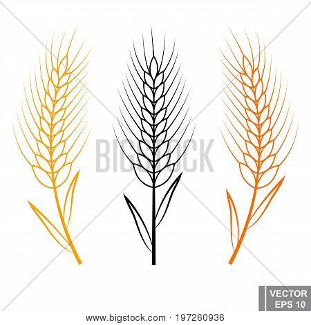 Wheat Germ. Flat Illustration. Icon Isolated On White Background.