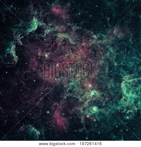 The North America Nebula In The Constellation Cygnus