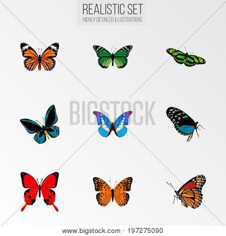Realistic Demophoon, Monarch, Green Peacock And Other Vector Elements