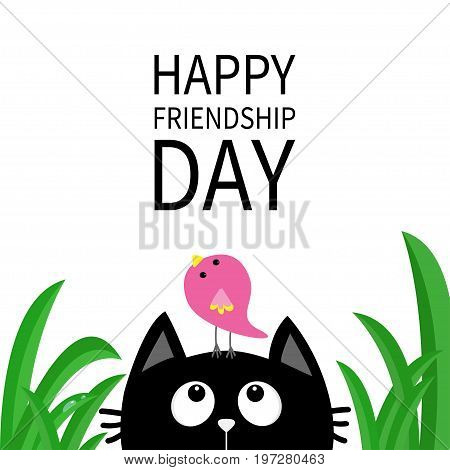 Happy Friendship Day. Cute black cat looking up to bird on head. Funny cartoon character. Kawaii animal. Kitty kitten. Baby pet collection. White background. Green grass. Isolated. Flat design. Vector