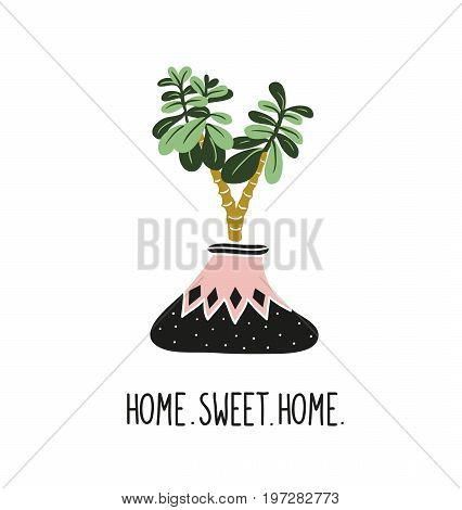 Hand drawn tropical house plants. Scandinavian style illustration modern and elegant home decor. Vector print design with lettering - ' home sweet home ' and crassula. Money tree.