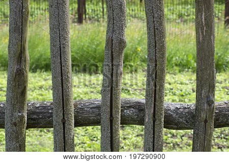 Mossy wooden fence of the five pegs in the cracks in the old Russian style