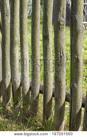 Mossy wooden fence in the cracks in the old Russian style lit the summer sun