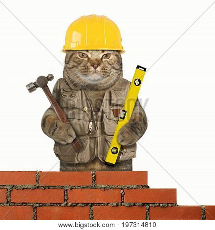 The cat builder is holding a hummer in one paw and a building level in other. White background.
