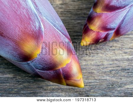 Silver Bluggoe Banana Blossom