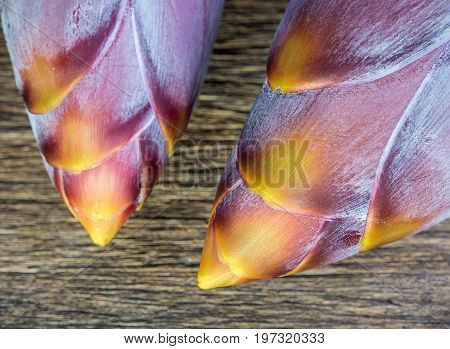 Silver Bluggoe Banana Blossom