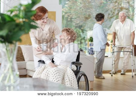 Friendly nurse gives a cup of tea to disabled woman on wheelchair in senior home