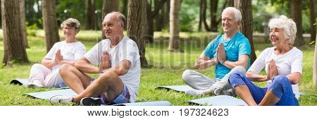 Group of senior people practicing yoga in park