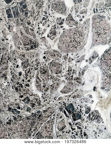 Marble Texture At Loggia Dei Lanzi Florence