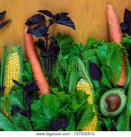 Vegetable Background With Copy Space. Lettuce, Basil, Three Carrots, Two Corns And Half Avocado On W