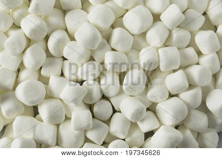 White Sweet Mini Marshmallows