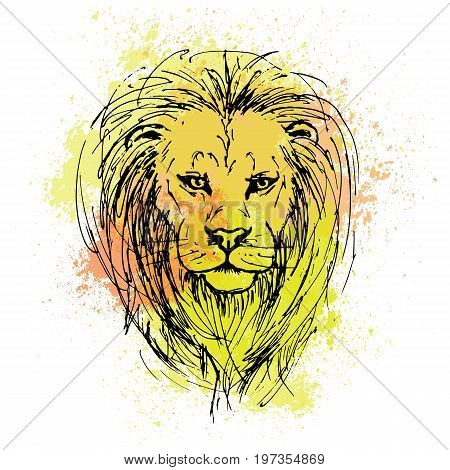 Sketch by pen of a lion head on a background of colored watercolor stains