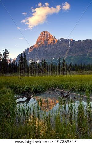 Sunrise and reflection of Mount Chephren, Banff, National Park, Alberta, Canada