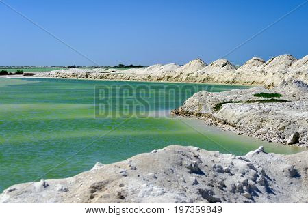 Green salt pool in Rio Lagartos in Mexico