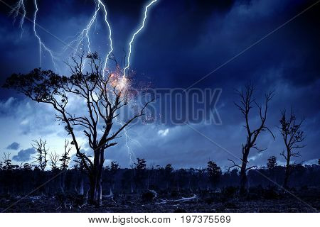 Bright lightning hit the tree