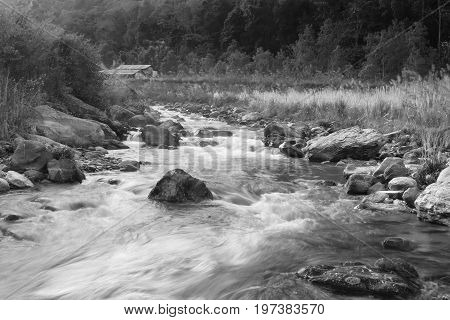 Beautiful Reshi River water flowing through stones and rocks at dawn Sikkim India. Reshi is one of the most famous rivers of Sikkim flowing through the state and serving water to many. Black and white image.