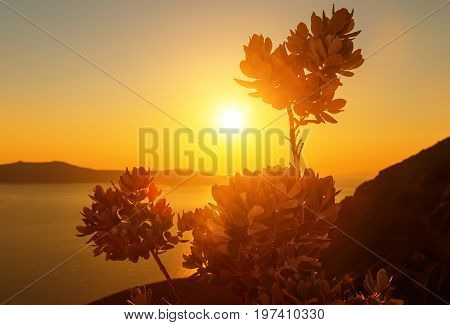 view of the Santorini caldera at sunset with sailing ships in the sea Aegean