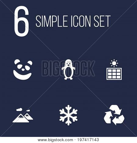 Collection Of Conservation, Polar Bird, Solar Panel And Other Elements.  Set Of 6 Bio Icons Set.