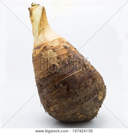 Fresh Root Taro on white background Isolated