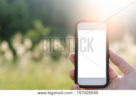 Copy Space Hand Using Smart Phone And Sun Light In Nature Green Park Background. Travel Adventure Li