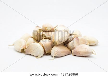 Rood garlic bulb food on white background