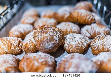 Sfogliatelle Pastry Display In Bakery With Powdered Sugar Macro Closeup Showing Texture
