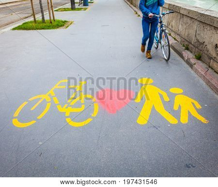 Bicycle Signs Painted On Asphalt