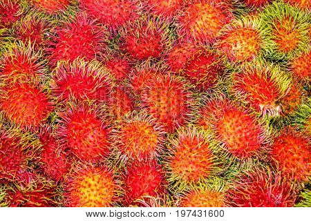 Fresh rambutan fruit at market in Thailand