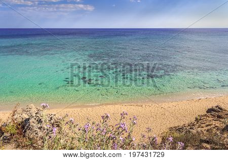 The most beautiful beaches of Italy: Campomarino dune park.Summer relax:umbrella isolated between sea dunes,Taranto (Apulia). The protected area extends along the entire coast of the town of Maruggio