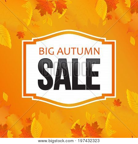 Autumn sale, banner, poster. Vector illustration autumn background.