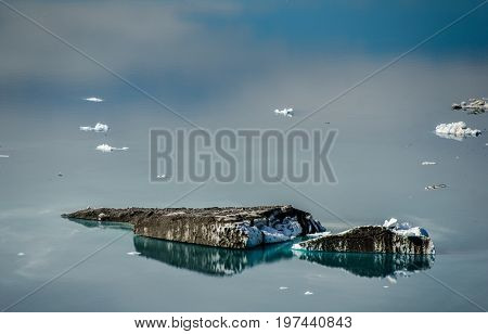 Small icebergs and reflections near a glacier Greenland