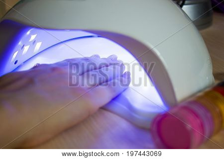UV lamp gel polish manicure process. Salon procedure. The master coats the client's nails with a varnish.