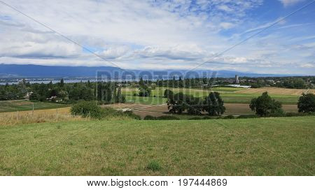 Vineyard near Lake Geneva and Swiss mountains, Switzerland
