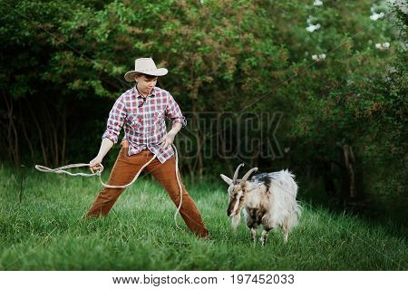 The Shepherd Boy throws the lasso on the goat. The boy catching a goat by roap. Goat roping