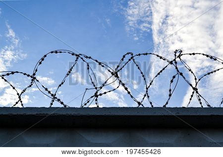 Fence with a barbed wire Fence with a barbed wire